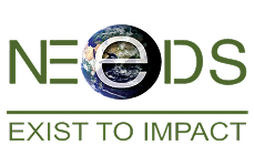 Neo DS - Exist to Impact