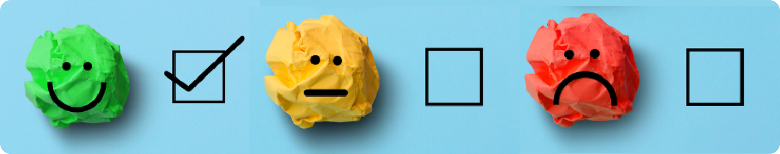 Multi-State Citizen Satisfaction & Perception Study