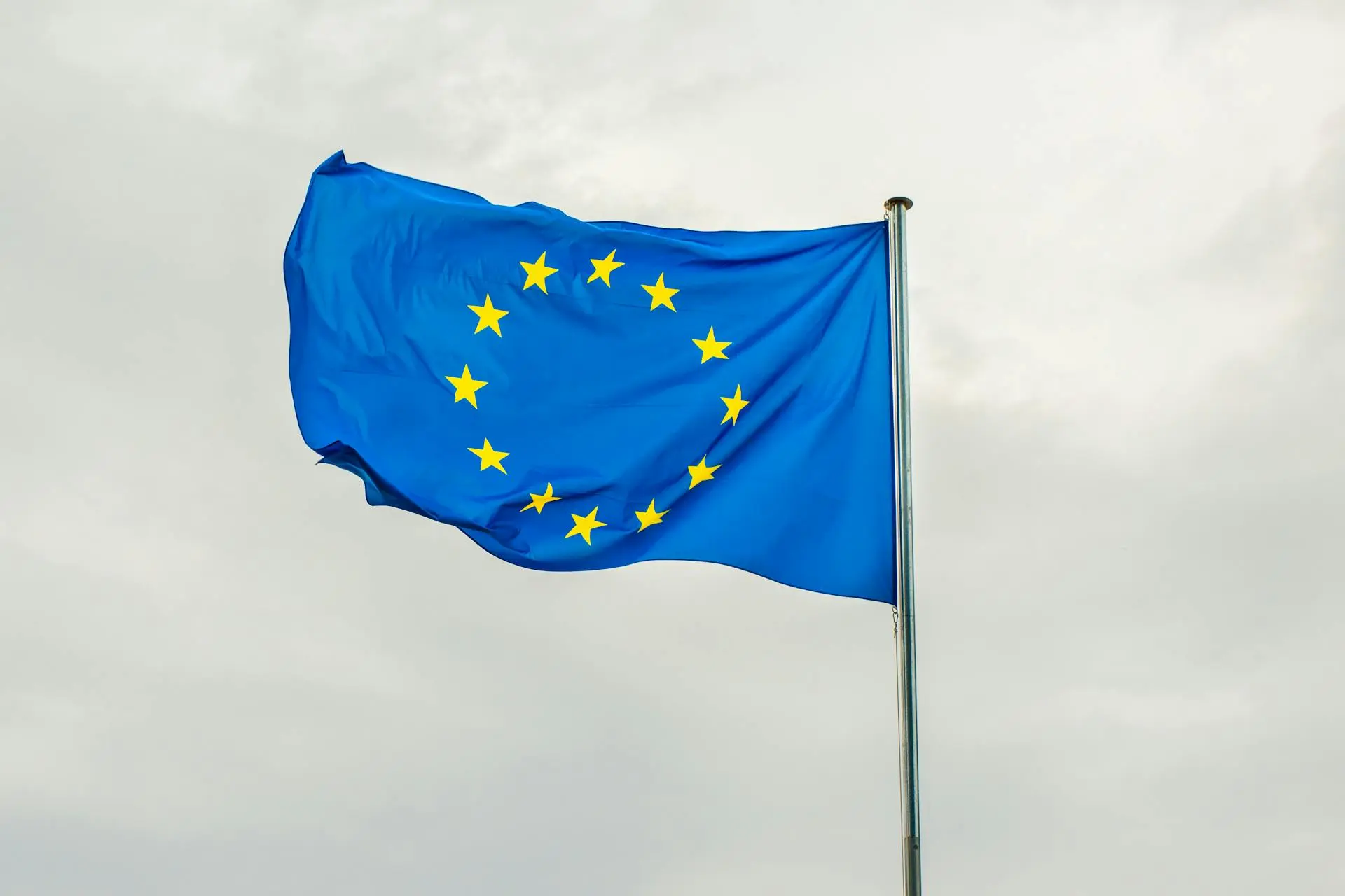 Measuring Public Attitudes and Stakeholder Opinions through Flash Eurobarometer Surveys