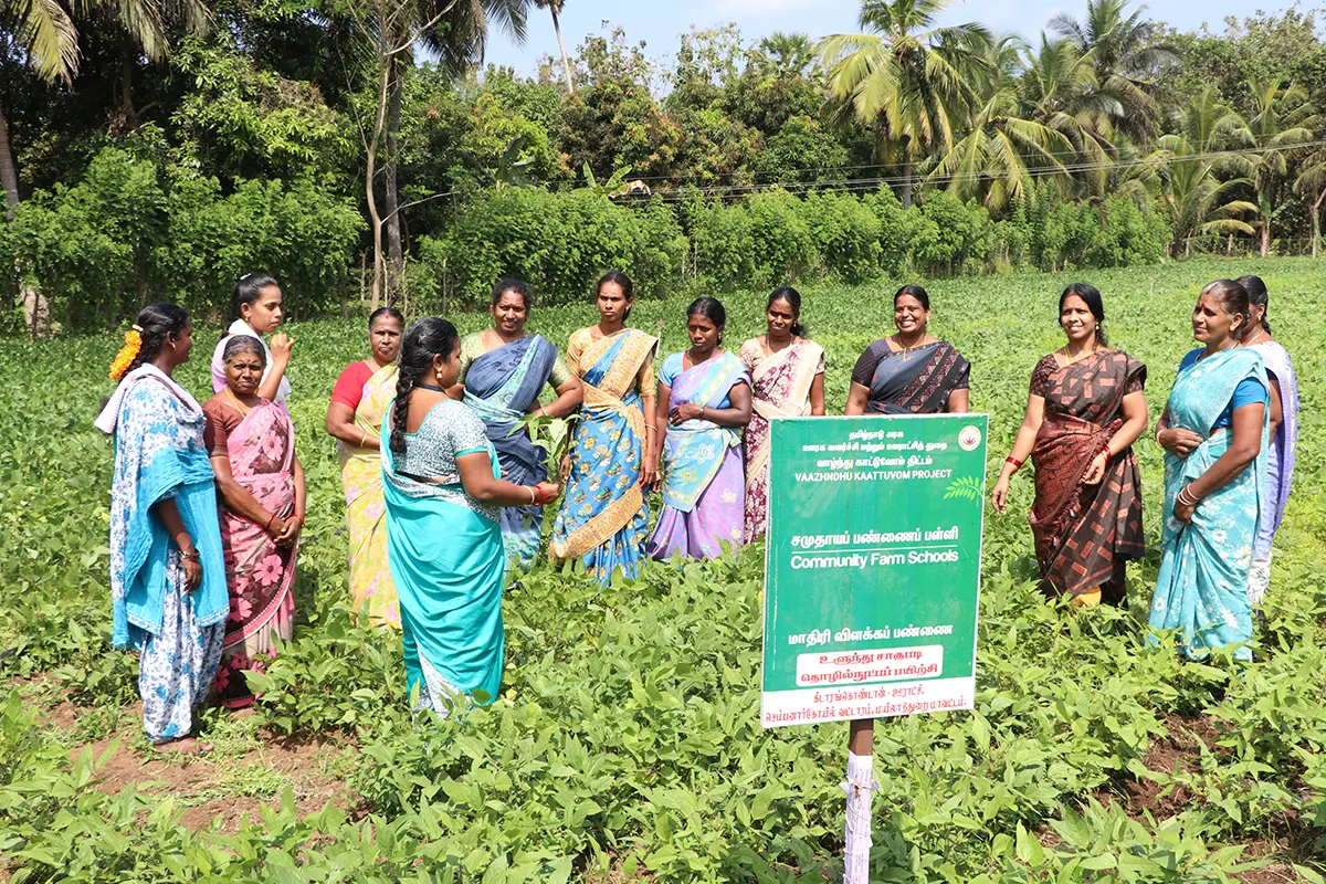 Baseline Evaluation for Tamil Nadu Rural Transformation Project