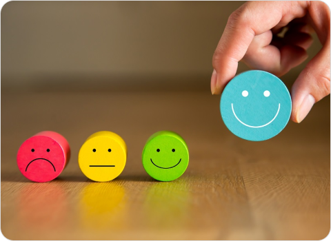 Multi-State Citizen Satisfaction & Perception Study